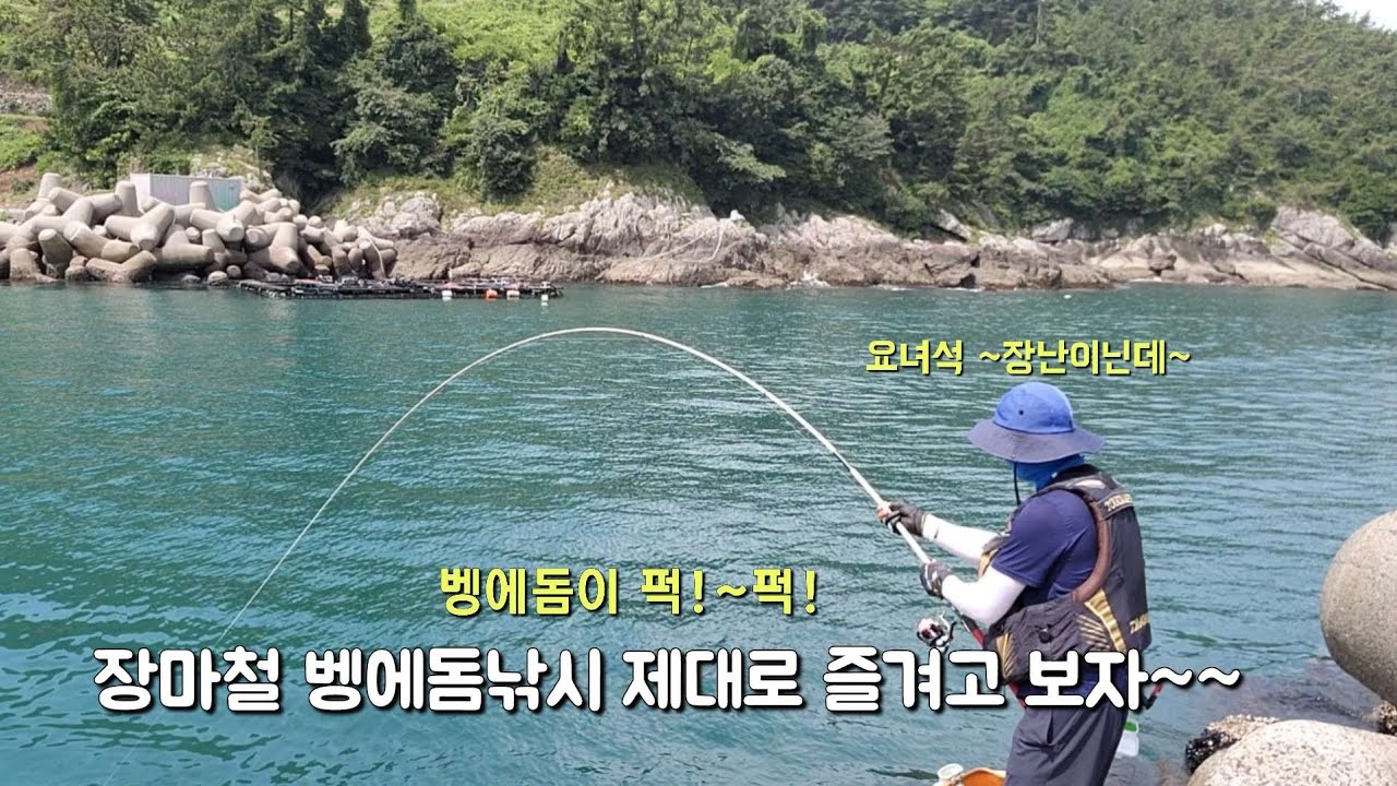 장마철에 벵에돔이  환장 하네요 ~퍽!~퍽!합니다(잡어가 벵에인 동네)/초보자라면 채비 따라해보세요 아주 쉽습니다^^