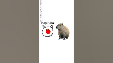 capybara in different language (IP@BrodaHafizi) #countryballs #memes