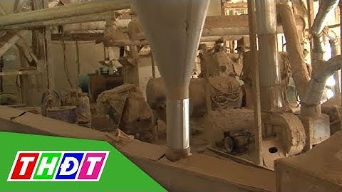 1 kilo trấu tạo ra bao nhiêu bụi năm 2024