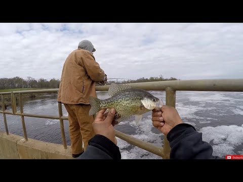 raging-water-crappie-fishing!-found-some-yellow-bass!-🎣🎣🎣