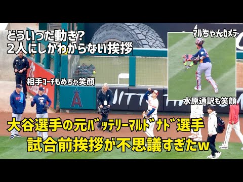 試合前に見た 大谷選手の元バッテリー マルドナド選手と不思議な挨拶w エンゼルス Angels 大谷翔平 Shohei Ohtani 現地映像