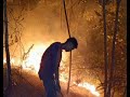 Dua Hektar Hutan di Sibolga Terbakar Tadi Malam