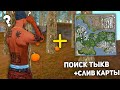 ПОИСК ТЫКВЫ НА МОРДОР РП + СЛИВ КАРТЫ!