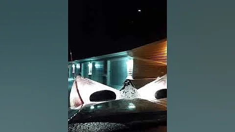 Snow Plowing On New Year's Day 1-01-19