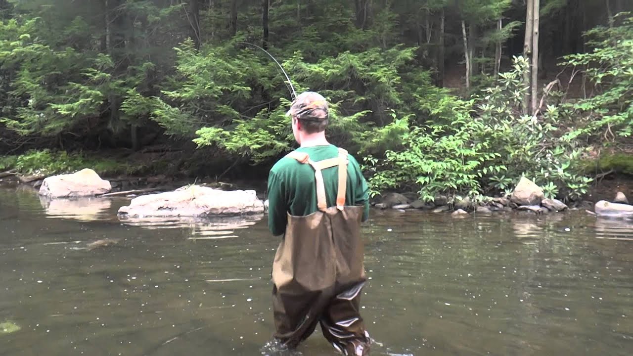 yellow creek trout club aus 2 YouTube