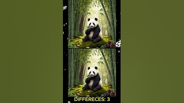 FIND THE 3 DIFFERENCE #03 I Quick-witted gameshow I