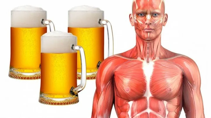 See What Happens To Your Body When You Drink A Pint Of Beer Everyday - DayDayNews