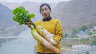 大山里种的水果萝卜，个头都特别大 特别甜，你们说怎样做才好吃呢？Chinese Food | Food made with radishes | 野小妹wild girl