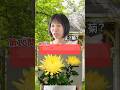 この花、英語で言える?#英会話 #英語学習 #1分英会話 #3ヶ月で話せる