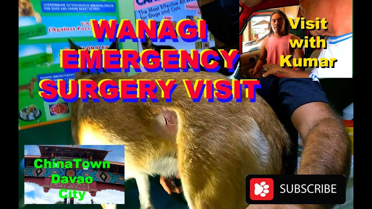 Cateel Bound Wanagi Emergency Injury Vanlife Philippines Adventures China Town Davao Episode11