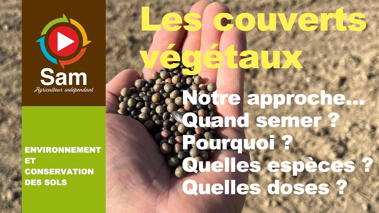 Les couverts végétaux pourquoi et comment ?  Quand semer ? Quelles espèces ? Quelles doses ?...