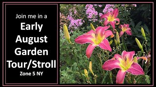 Early August Garden Tour Stroll Zone 5 NY State