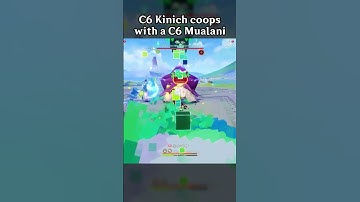 C6 KINICH COOPS WITH A C6 MUALANI