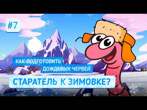 #7. Как подготовить дождевых червей Старатель к зимовке?