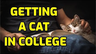 Are Cats Good Pets For College Students