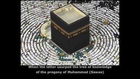 Reason of the Imam Ali