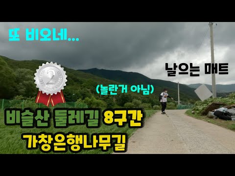 비슬산둘레길 가창은행나무길 _ 찐빵 맛집으로 유명한 가창에서 걷기 좋은 길ㅣ 우중둘레길ㅣ 비ㅣ신천