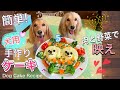 簡単！犬用ケーキの作り方 Dog Cake Recipe /犬の誕生日は手作りバースデーケーキでお祝い
