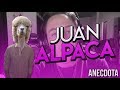 Juan ALPACA - Anecdota | MomoLaDinastia