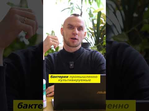 Бактерии и микроорганизмы