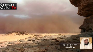 فديو HD سورة المرسلات القارئ الشيخ إدريس أبكر I قناة سلطان العواد