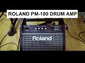 Roland PM-100 