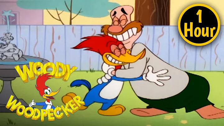 1 Hour of Woody Woodpecker Full Episodes | Woody a...