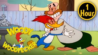 1 Hour Of Woody Woodpecker Full Episodes Woody And Wally Become Friends