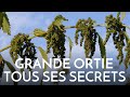 Lortie  tous ses secrets