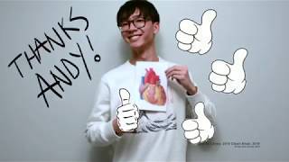 Cardiovascular Review Anatomy, Circulation, Conduction Lets Beat This Review