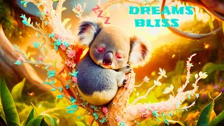 💤 Sleep  little Koala 🌠432 hz nature  - Baby Sleep Music😴
