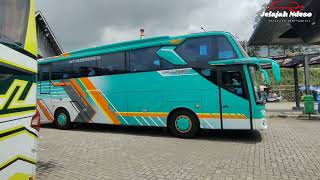 Outing Class Trip Medium Bus Habibi Trans