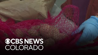 Denver Rescue Mission to receive 1,000 turkeys just in time for Thanksgiving dinner preparations