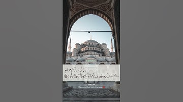وما توفيقي إلا بالله عليه توكلت وإليه أنيب ... | سورة هود - Surah Hud - Hud Suresi