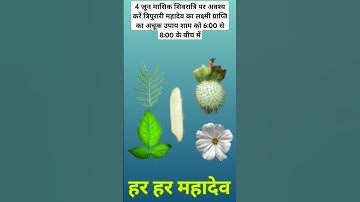 4 जून मासिक #शिवरात्रि पर अवश्य करे त्रिपुरारी महादेव का लक्ष्मी प्राप्ति का अचूक उपाय #upay #shorts