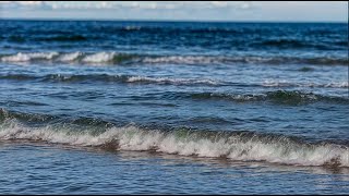 Healing Natural Sound of the Sea and Sounds of the Wind