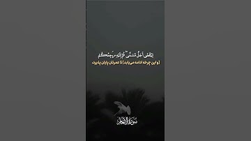 سوره الانعام #qatar #قران_كريم #dubai #qalb #لايك #quran #qeshm #قرآن_كريم #قرآن  #سورة_الانعام