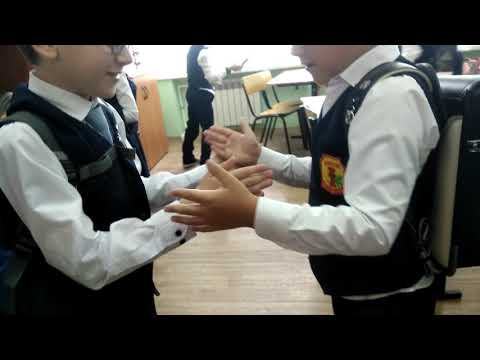 Летел лебедь по синему небу