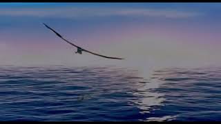 Disney And Gullane Pictures Logo