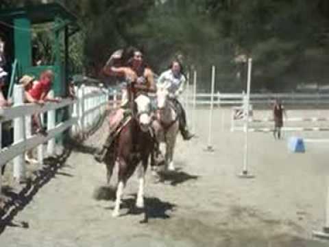 California Horses ~ Litchfield