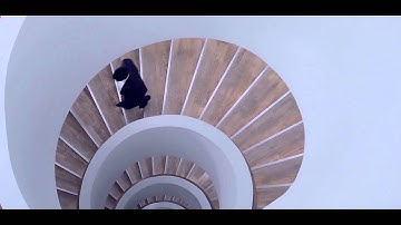 Skype for Business - Cirque, Microsoft & Implement (UK)