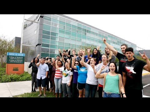a-day-in-the-world-of-usf-nursing-students-march-2015