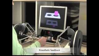 Two finger grasping simulation with cutaneous and kinesthetic force feedback