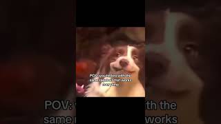 Ragebaiting Bro Successful