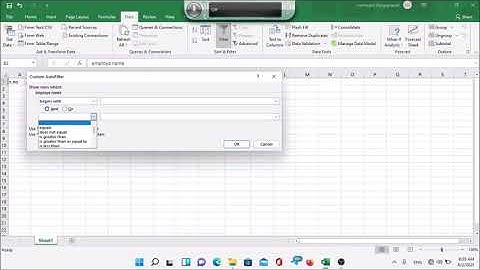 how to use data filter in MS Excel for visually impaired and others
