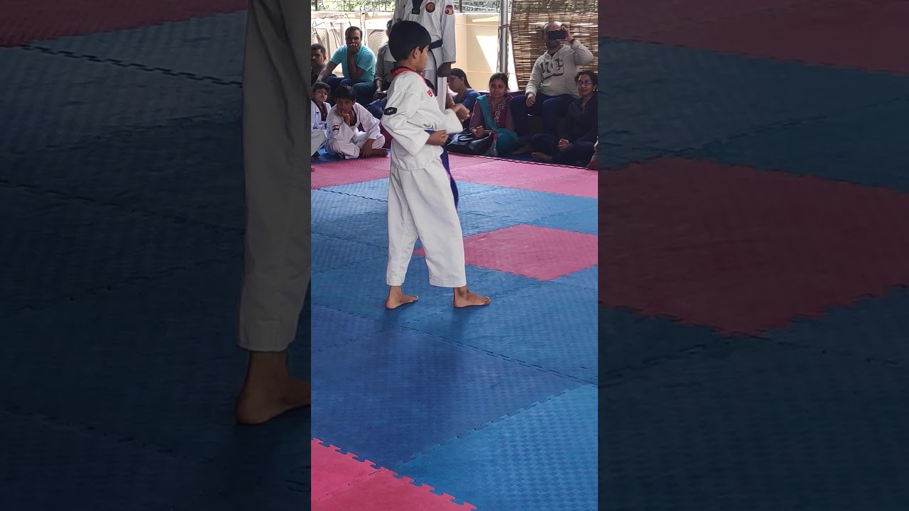 Adriana Taekwondo Blue Hair Training - wide 3