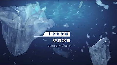 ‘用得少 海美好’地球环境一同守护 - 天天要闻