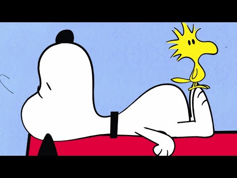 Video: Wie heißt der gelbe Vogel auf Snoopy?