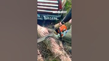 King of Firewood uses his Stihl MS362C for 1st time on camera