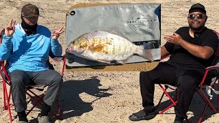 Surf Perch Fishing Tips  Mastering the Summer to Fall Transition